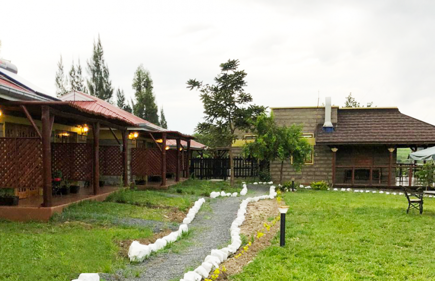 Outdoor 8